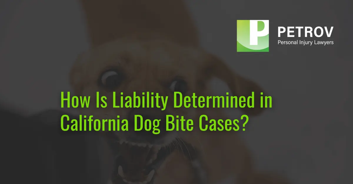 How Is Liability Determined in California Dog Bite Cases - Petrov Personal Injury LawyerHow Is Liability Determined in California Dog Bite Cases - Petrov Personal Injury Lawyer